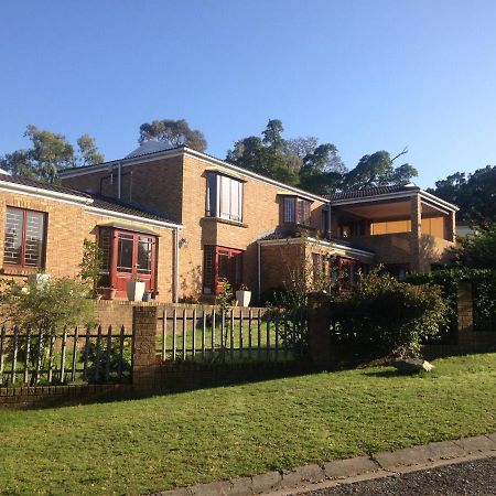 Bed and Breakfast Blue Fern Of Knysna Exteriér fotografie