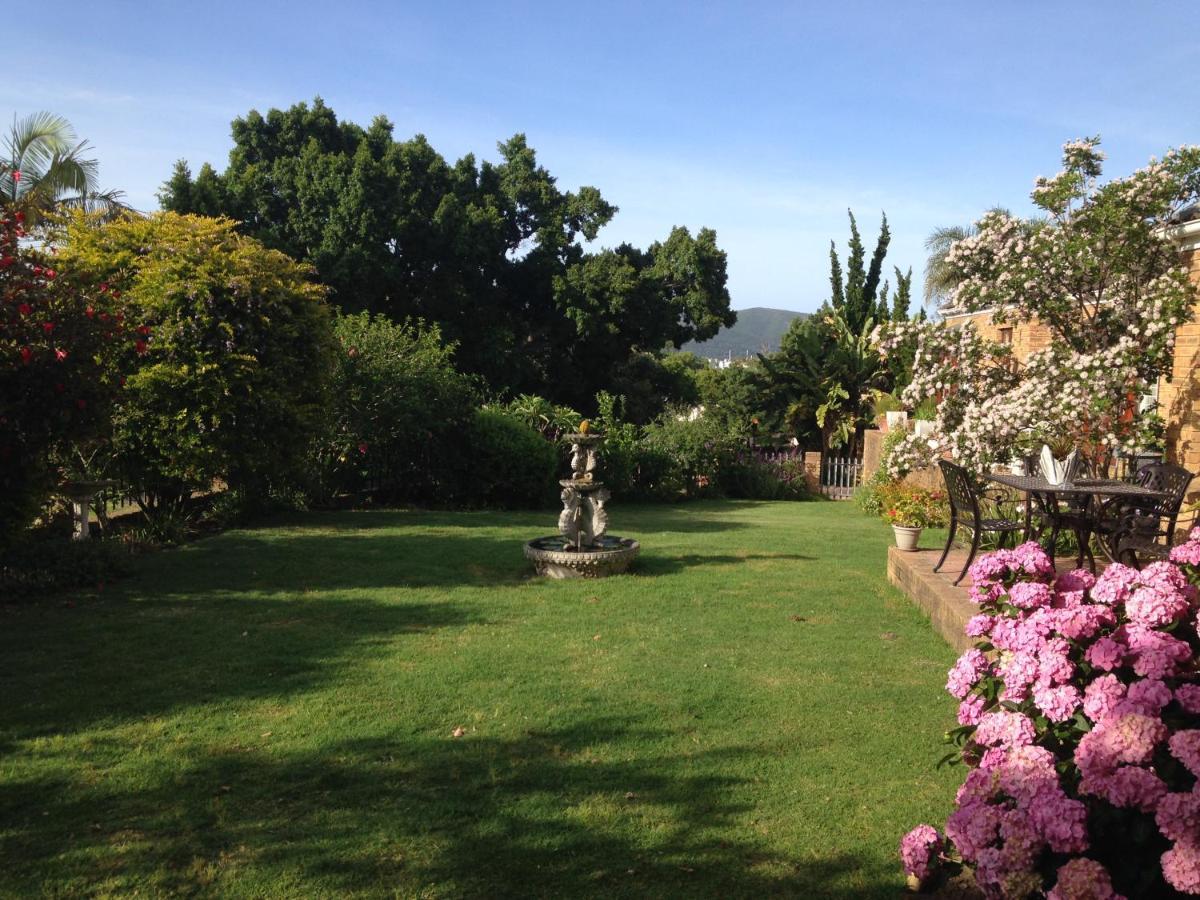 Bed and Breakfast Blue Fern Of Knysna Exteriér fotografie