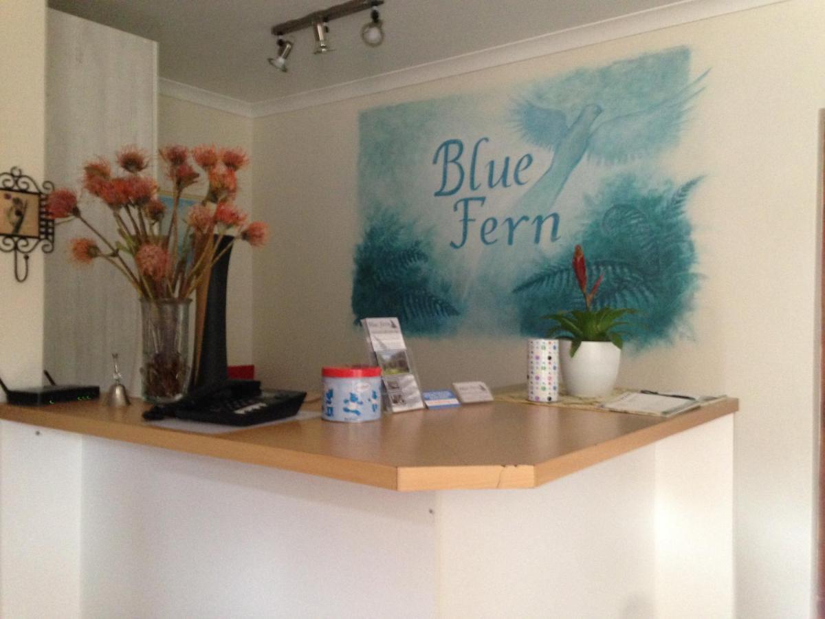 Bed and Breakfast Blue Fern Of Knysna Exteriér fotografie
