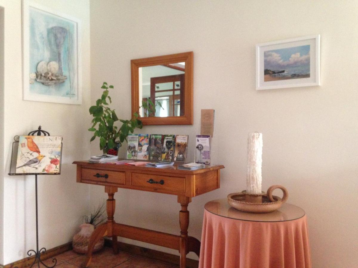 Bed and Breakfast Blue Fern Of Knysna Exteriér fotografie