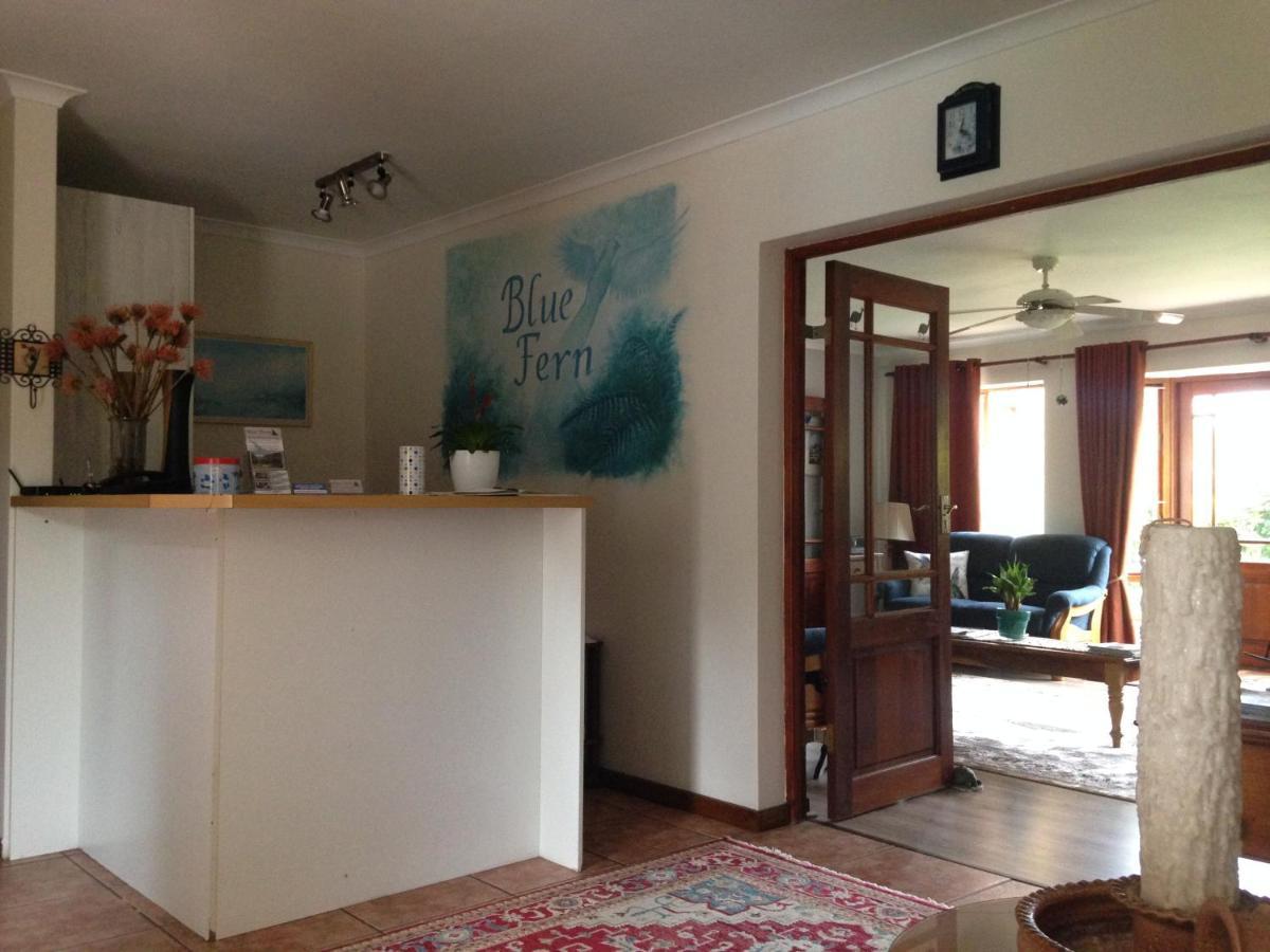 Bed and Breakfast Blue Fern Of Knysna Exteriér fotografie