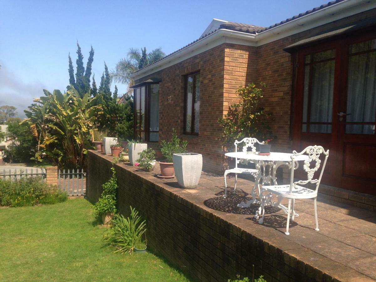 Bed and Breakfast Blue Fern Of Knysna Exteriér fotografie