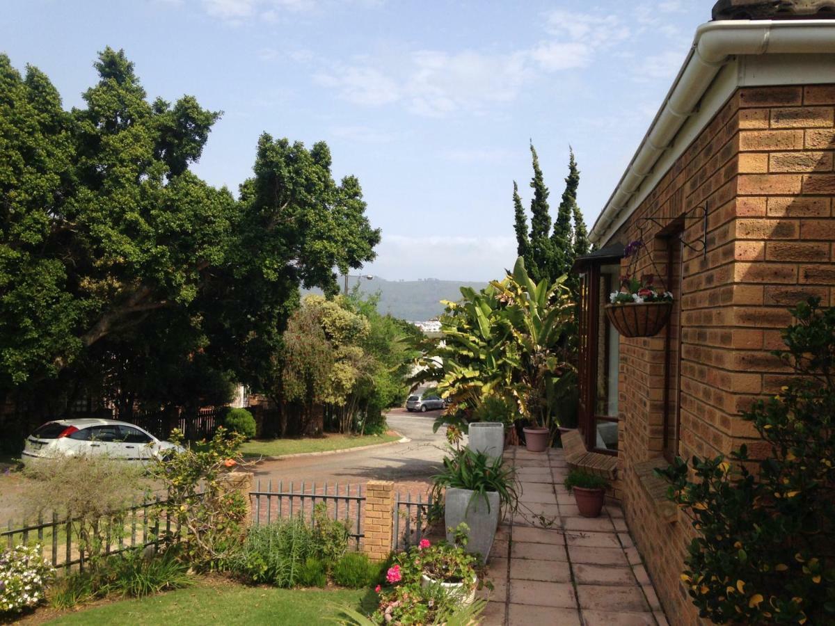 Bed and Breakfast Blue Fern Of Knysna Exteriér fotografie